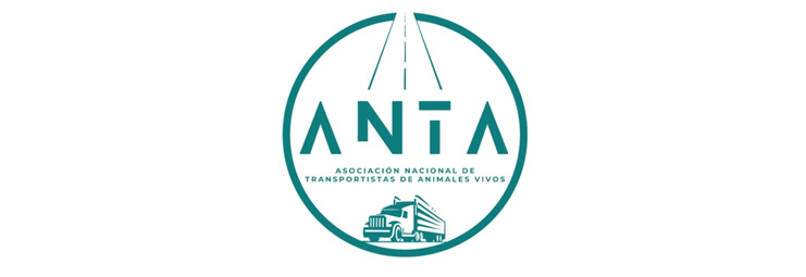 ANTA_resultado