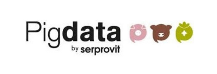 PIGDATA_resultado
