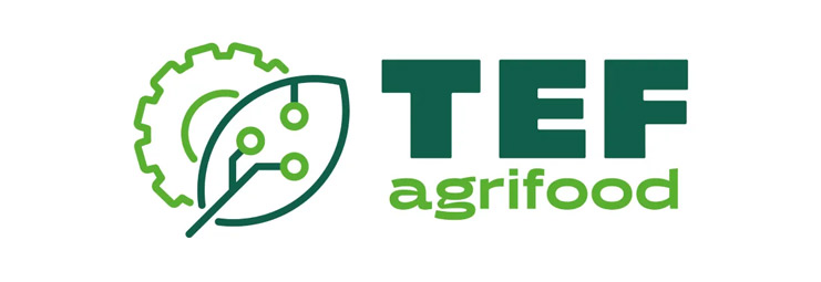 TEF-AGRIFOOD_resultado